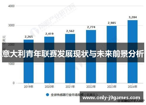 意大利青年联赛发展现状与未来前景分析 意大利青年联赛发展现状与未来前景分析